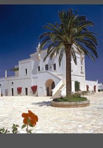 ein großes weißes Gebäude mit einer Palme davor in der Unterkunft Domina coral bay in Sharm El Sheikh