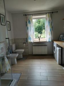 a bathroom with a toilet and a sink and a window at Dom w Siedlisku pod Orzechem 