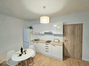 Kuchyňa alebo kuchynka v ubytovaní Apartmány Svitavy