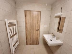 Kúpeľňa v ubytovaní Apartmány Svitavy