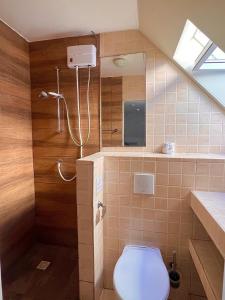 a small bathroom with a toilet and a shower at Boca Simon Vacation Curacao in Willemstad