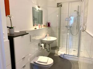 uma casa de banho com um WC, um chuveiro e um lavatório. em Heimat - Apartment in der Altstadt Fulda l 47 qm l Netflix l WLAN l Wohnzimmer l Schlafzimmer l Küche l Bad em Fulda