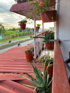 un porche con plantas y macetas. en Casa Turistica HL en Armenia