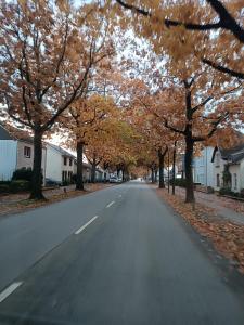 an empty street in a residential neighborhood with trees at Ksenia in Neumünster