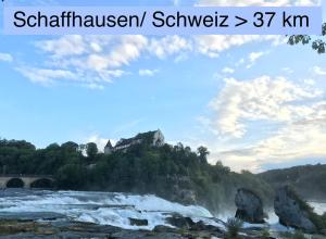 Φωτογραφία από το άλμπουμ του Am Rathaus 1 σε Hüfingen