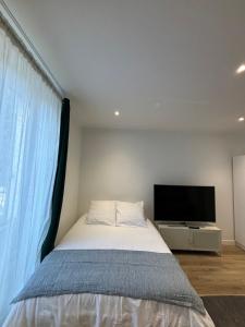 een slaapkamer met een bed en een flatscreen-tv bij Joli Appartement in Choisy-le-Roi