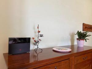 un comò in legno con un televisore e un piatto sopra di Le Siepi a Reggello