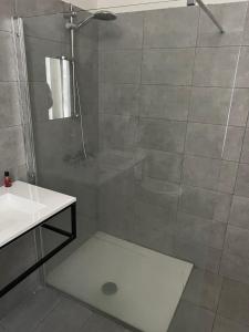 um chuveiro com uma porta de vidro ao lado de um lavatório em Bkenkember Aprt em Antuérpia