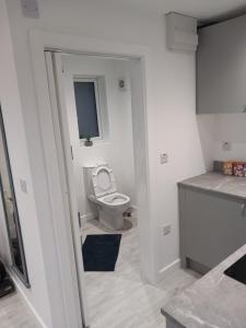 a bathroom with a toilet with the seat up at Riverside Annex at Ashbank in Penrith