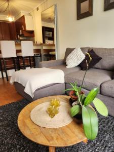 un salon avec un canapé et une table dans l'établissement Alto Las Condes - A pasos del Mall - Excelente y cómodo Departamento p/2 personas, à Santiago