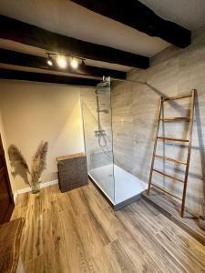 a bathroom with a shower with a ladder in it at Ferme Marie Hélène in Ittlenheim
