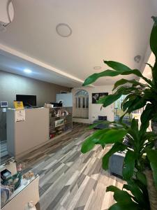 a living room with a plant in the middle of it at Hotel Casa Cielo Cartagena in Cartagena de Indias