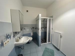 a bathroom with a toilet and a sink and a shower at Hitorischer Charme in Top-Altstadtlage - Fewos Anno 1529 in Zittau +47 photos