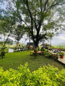 a park with benches and a tree in the grass at Alpinas Montecarlo in Ostumán