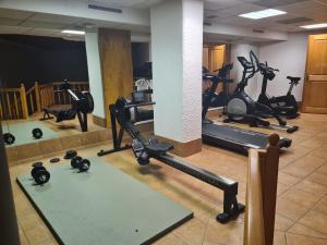 Fitness centrum a/nebo fitness zařízení v ubytování Appartement Bristol Villars-sur-Ollon
