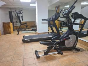 un gimnasio con dos máquinas de correr y una cinta de correr en Appartement Bristol Villars-sur-Ollon en Villars-sur-Ollon