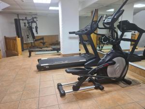 Fitness centrum a/nebo fitness zařízení v ubytování Appartement Bristol Villars-sur-Ollon