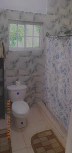a bathroom with a toilet and a window at Grace Garden Guesthouse in Ocho Rios