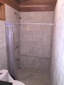 a bathroom with a shower and a toilet at Casa Aura: Beachfront Premium Hostel in Tamarindo