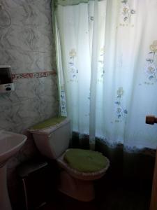 y baño con aseo y cortina de ducha. en Hostal y Cabañas Ventisquero, en Puerto Puyuhuapi