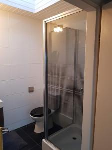 a bathroom with a toilet and a glass shower at Strand zuid in Egmond aan Zee