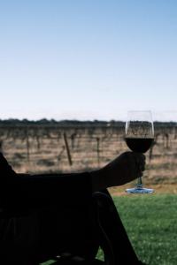 een persoon met een glas rode wijn bij Buller Wines in Rutherglen