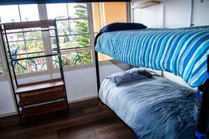 Cama ou camas em um quarto em Mad Monkey Hostel Coogee Beach