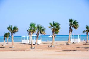 a group of palm trees on a sandy beach at One Bedroom - Mangroovy El Gouna in Hurghada