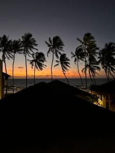 雅帕拉廷加的住宿－Kuarasy Boutique Hotel Japaratinga，日落时分在海滩上种植的棕榈树