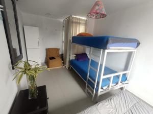 ein kleines Zimmer mit einem Etagenbett und einer Pflanze in der Unterkunft CASA HOSTEL 129-A in Cajamarca