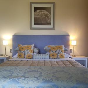 a bedroom with a bed with a blue headboard and pillows at Hawkdun Rise Vineyard & Accommodation in Alexandra