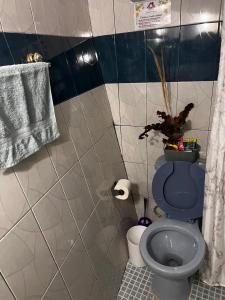 a bathroom with a blue toilet with a plant on it at Departamento de Cantera in Oaxaca City