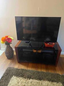 a television on a stand with a vase of flowers at Beautiful two bedroom apartment. in Calgary