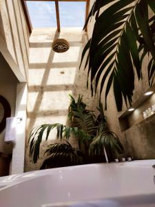 baño con bañera y planta en LITERATIUM, en Mompox