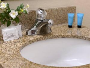 a sink with a faucet and two glasses on a counter at *Beachfront Private Apartment*102* in Daytona Beach