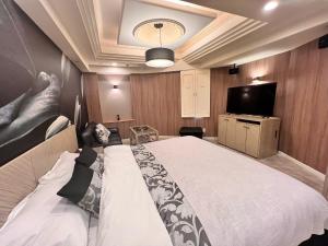 Televizorius ir (arba) pramogų centras apgyvendinimo įstaigoje Hotel Crystal Gate Nagoya - Couple Hotel