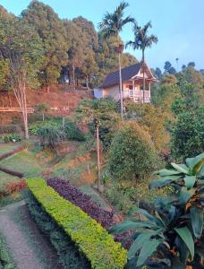 un giardino con una casa sullo sfondo di Garden Terrace Bali a Gobleg