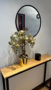 a plant on a table in front of a mirror at The Myrini Homes - Cityview Near Drawbridge in Kuala Terengganu