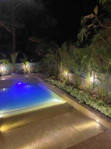 a swimming pool with lights in a garden at night at Palm 3Bhk Villa Alibaug in Alībāg