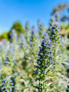 Gallery image of Yarra Gem in Yarra Glen