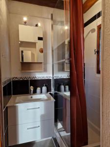 ein Bad mit einem Waschbecken und einem Spiegel in der Unterkunft Petit chalet individuel à Font-romeu in Font Romeu Odeillo Via