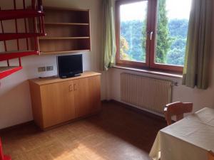 a small room with a television and a window at Apartments Schloss Warth in Appiano sulla Strada del Vino