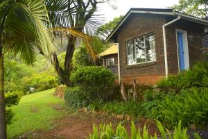 a house with a palm tree in front of it at Bezalel's Rest in Sabie