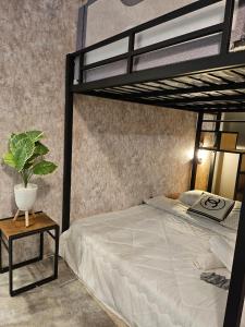 um quarto com um beliche com uma planta sobre uma mesa em le melur guest house em George Town