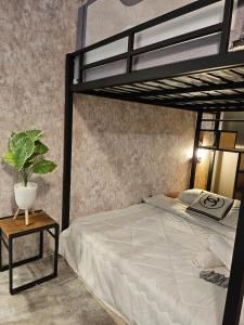 ジョージタウンにあるle melur guest houseのベッドルーム1室(二段ベッド1組、テーブル上の植物付) +21枚の写真