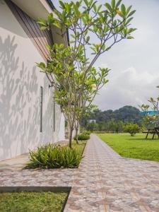 a tree on the side of a building at Halcyon Days @ Langkawi in Pantai Cenang