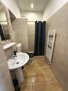 a bathroom with a sink and a shower at Central Station Apartment in Cluj-Napoca