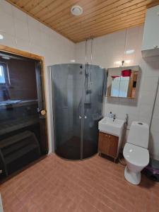 a bathroom with a shower and a toilet and a sink at Twin Peaks Urupää B Saariselkä in Saariselka