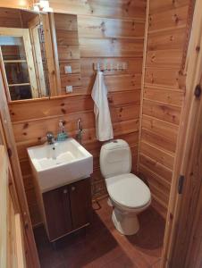 a small bathroom with a toilet and a sink at Twin Peaks Urupää B Saariselkä in Saariselka