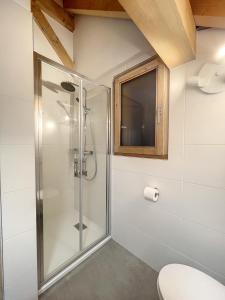 a glass shower in a bathroom with a toilet at Chalet Le Vallonnet in La Toussuire